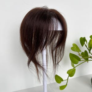 Puede incluir: Una pieza de cabello marrón oscuro con flequillo largo y en capas. La pieza de cabello se muestra en un soporte blanco, mostrando su forma y textura. El cabello parece liso y brillante, con un color natural.