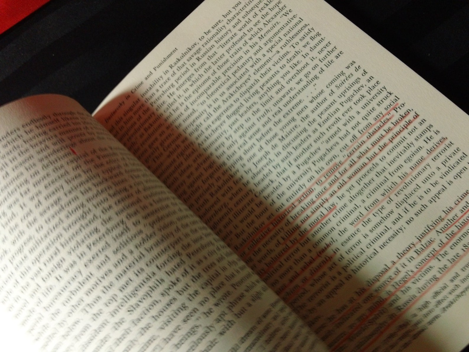 Dostoevsky critical essays picture