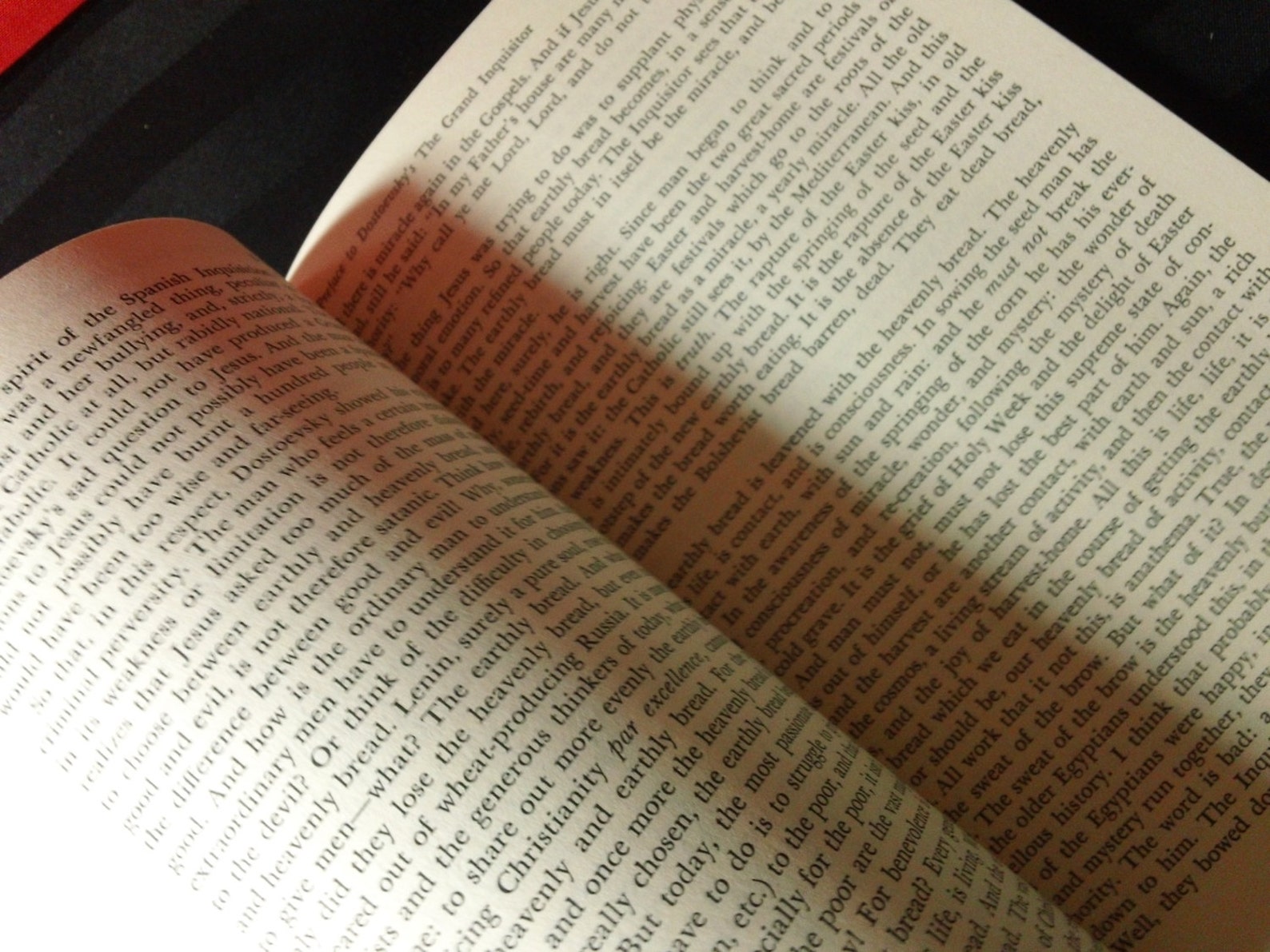 Fyodor dostoevsky image