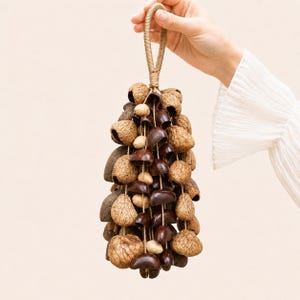 May include: A decorative hanging ornament composed of numerous small, dark brown, polished seed pods and lighter, textured, tan-colored nut shells. These natural elements are strung together on thin cords, suspended from a single wrapped loop handle.