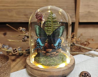 Blue Butterfly Glass Dome Terrarium, Real Butterfly Specimen Decor, Forest Moss Cloche Lamp, Natural History Gothic Home Decor, Unique Gift