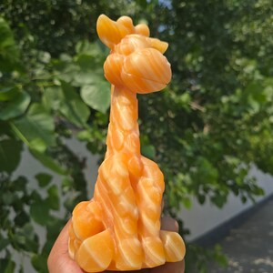 Hand Carved Natural Yellow Calcite Giraffe Figurine Crystal Animal Statue | Healing Crystal Home Decor Office Desk Ornament | Wellness Gift image 7