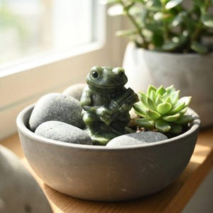 Könnte beinhalten: Eine kleine, dunkelgrüne Froschfigur, die ein Bündel Schilf hält, sitzt in einer grauen Keramikschale, die mit grauen Steinen und einer kleinen Sukkulentenpflanze gefüllt ist. Die Schale steht auf einer Holzoberfläche, mit einem Fenster und einer größeren Topfpflanze im Hintergrund.