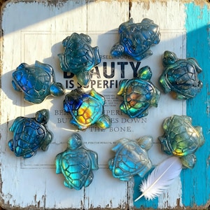 May include: A collection of iridescent turtle figurines in shades of blue, green, and yellow are arranged on a weathered wooden surface. The text "BEAUTY IS PERFECT" is partially visible. A white feather rests near the turtles.