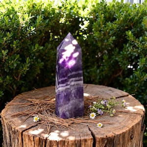 Puede incluir: Un obelisco de cristal de amatista pulida, de color púrpura y blanco, con una parte superior puntiaguda. El cristal con bandas se encuentra sobre un tocón de madera rústica, adornado con agujas de pino y pequeñas flores blancas y amarillas. El fondo es follaje verde.
