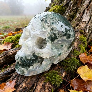 Puede incluir: Una calavera tallada en un material translúcido claro con inclusiones verdes y blancas. La calavera descansa sobre un tronco cubierto de musgo con hojas de otoño. Gotas de agua son visibles en la superficie de la calavera.