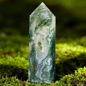 May include: A tall, polished moss agate crystal point. The crystal features a mix of translucent white and green hues, with intricate patterns resembling moss. The top is a pointed shape. The crystal is displayed on a bed of green moss.