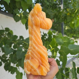 May include: A carved orange calcite figurine in the shape of a giraffe. The stone features natural swirling bands of light and dark orange hues throughout its smooth, polished surface, depicting the long neck and head of the animal in profile.