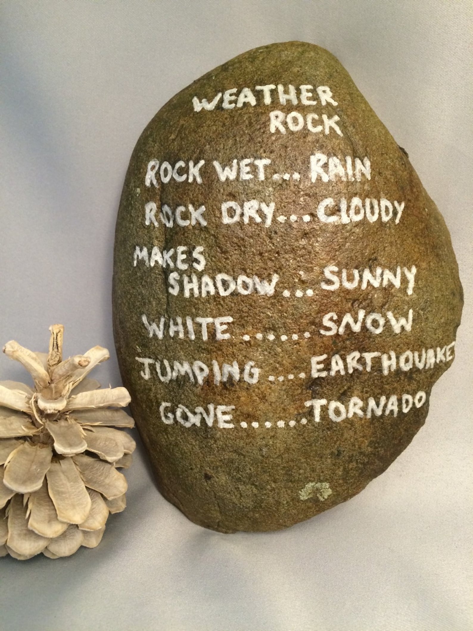 Weather or forecasting rock stone garden painted funny gift Etsy