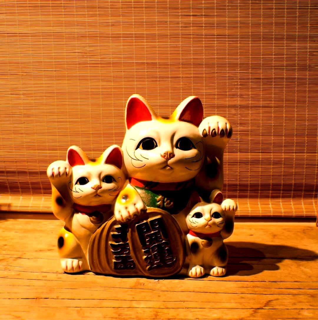 Lucky Cat Piggy Bank - Etsy