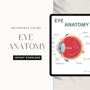 Könnte beinhalten: Ein digitales Nachschlagewerk mit dem Titel "Augenanatomie" und einer Abbildung des menschlichen Auges. Das Diagramm zeigt die inneren Strukturen des Auges in Rot, Blau und Weiß. Der Text "Sofort-Download" steht unter dem Titel.