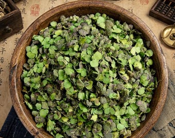 Duckweed Powder Food Grade | Wolffia Globosa & Lemna Minor | Natural Green Lesser Duckweed | Pure Herba Lammae | No Additives