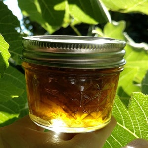 Honey Fig Jam!
