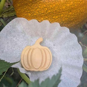 May include: A light orange, pumpkin-shaped wax melt or soap piece with embossed vertical ridges and a small stem, resting on a white, circular, fluted paper filter, with a large, textured, orange pumpkin visible in the background.