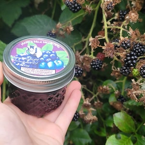 Seedless Blueberry Blackberry Jam
