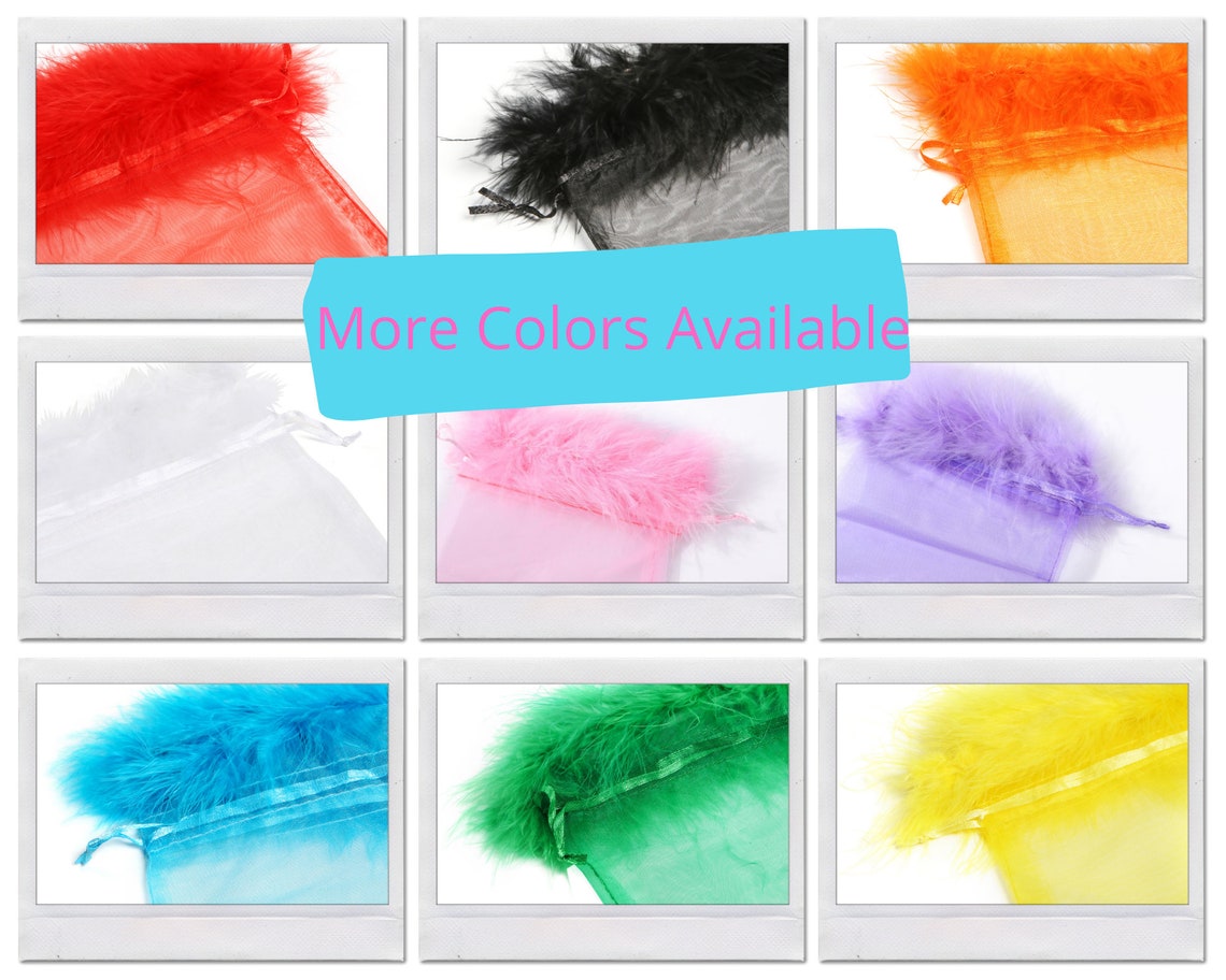 Sheer Drawstring Bags Bulk Feather Pouches Party Favor Etsy
