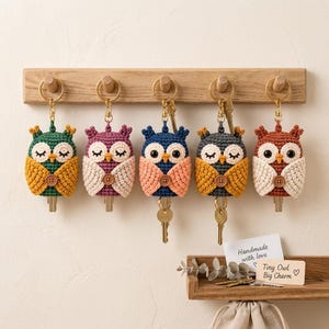 May include: Five crocheted owl key covers in green, purple, blue, dark gray, and rust orange. Each owl features a small brown button on its belly, a metal keyring, and a key hanging from the bottom. The owls are displayed on a wooden wall rack.