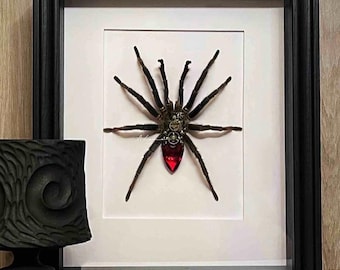 Escultura steampunk de tarántula disecada real, vitrina gótica para ejemplares de araña con engranajes mecánicos, arte de exhibición de curiosidades