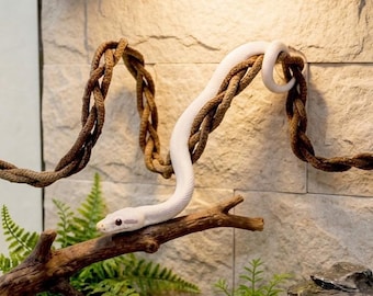Spiral Snake Climbing Frame, Ball Python Enrichment Gym, Modern Exercise Branch for Corn Snakes, Vertical Reptile Habitat Decor Accessory