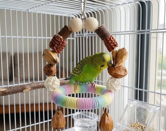 Natural Dried Fruit Parrot Swing Toy, Chewable Bird Perch for Budgies Cockatiels Conures, Hanging Cage Toy