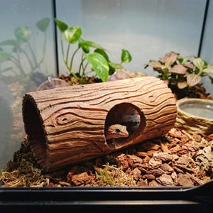 May include: A brown, hollow, cylindrical log hide with a textured bark pattern and a circular opening. A small, spotted leopard gecko is visible inside the log, which is placed on a substrate of wood chips and moss within a glass enclosure.