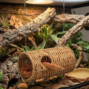 Peut inclure: Un refuge pour reptiles cylindrique en osier suspendu par des chaînes. Le refuge, de couleur marron clair, présente deux ouvertures circulaires. Un serpent des blés est enroulé à l'intérieur, la tête visible. Le fond comprend des branches, des plantes et un abreuvoir.