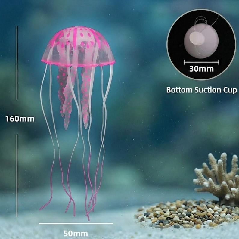 Pu&ograve; includere: Una medusa artificiale rosa e bianca con una cupola trasparente e lunghi tentacoli fluttuanti. La medusa &egrave; alta 16 cm e larga 5 cm. &Egrave; inclusa una ventosa di 3 cm di diametro. Per l'arredamento dell'acquario.