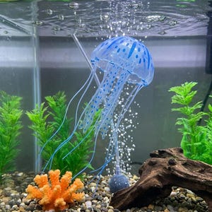 Pu&ograve; includere: Decorazione di medusa blu e bianca in un acquario. La medusa ha una parte superiore a cupola con pois e strisce blu e lunghi tentacoli fluenti. Sono visibili anche piante verdi, coralli arancioni e un pezzo di legno alla deriva.