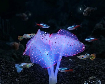 Corallo artificiale in silicone morbido e luminoso, ornamento per acquario con movimento realistico, anemone di mare fluorescente atossico per acquario