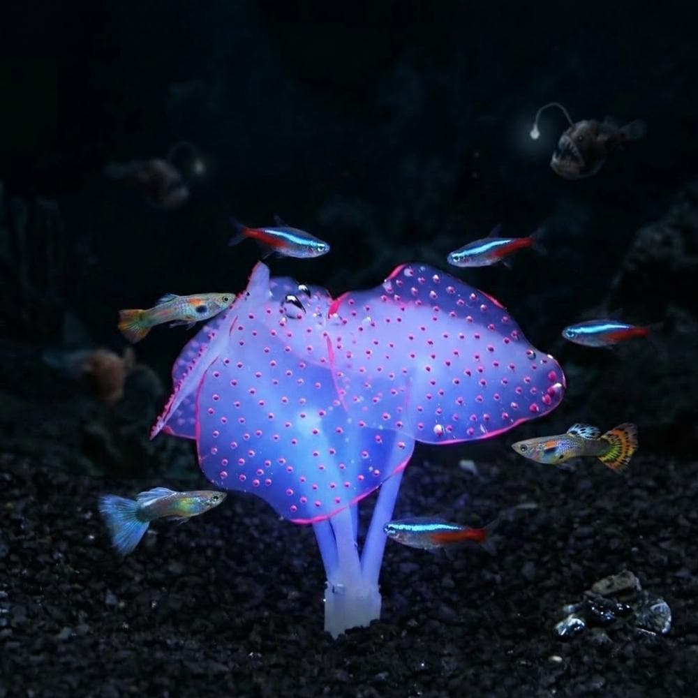 Fake coral aquarium - Etsy sterreich