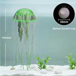 Pu&ograve; includere: Decorazione per acquario a forma di medusa verde e trasparente. La medusa &egrave; alta 16 cm e larga 5 cm. La ventosa inferiore &egrave; di 3 cm. La medusa ha accenti verdi e lunghi tentacoli fluenti. Lo sfondo include sabbia bianca, rocce e piante verdi.