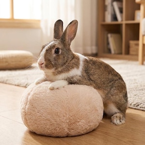 Juguete de poliéster suave para aliviar la ansiedad de los conejos durante la época de cría, compañero de juegos para conejos, peluche duradero antiaburrimiento, juguete lavable y seguro para mascotas.
