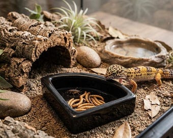Ceramic Reptile Feeding Dish, Escape Resistant Mealworm Bowl, Gecko Lizard Food Bowl, Small Pet Terrarium Feeder
