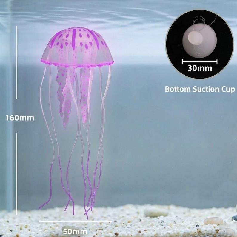 Pu&ograve; includere: Una medusa decorativa, alta 16 cm e larga 5 cm, con una base a ventosa (30 mm). La medusa ha una campana rosa traslucida con macchie rosa pi&ugrave; scure e lunghi tentacoli fluttuanti. Per l'arredamento dell'acquario.