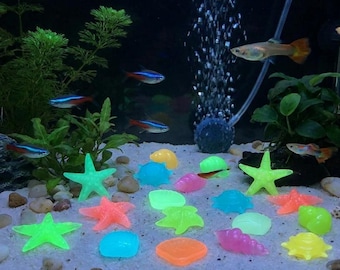 Glow-in-the-Dark Starfish & Shells: Luminous Resin Aquarium Decor. Safe, Non-Toxic Night Night Glowing Ornament for Aquascaping