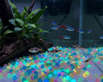 Pietre per acquario fosforescenti, ciottoli di resina per acquario, decorazioni luminose per aquascaping, 1000 pezzi