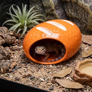 May include: A ceramic reptile hide shaped like a loaf of bread with a glossy orange finish and white score marks. A spotted leopard gecko is positioned inside the hollow opening of the hide, which rests on a substrate of small pebbles and wood chips.