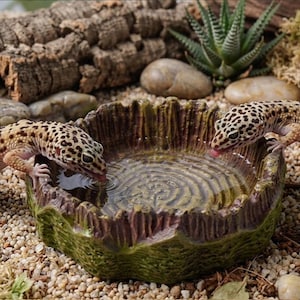 May include: A ceramic reptile water dish with a textured, tree-stump design. Two leopard geckos are drinking from the water-filled bowl. The dish has a green and brown color scheme and sits on a bed of small pebbles.