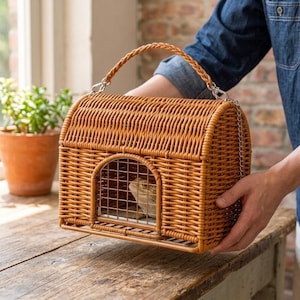 May include: A brown woven wicker pet carrier with a rounded top, a single top handle, and a metal chain strap. The front features an arched metal wire door with a small lizard visible inside the enclosure, which has a rectangular base.