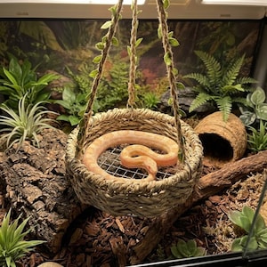 May include: A light orange snake coiled inside a round, woven seagrass hammock suspended by three braided jute ropes adorned with small green fabric leaves. The hammock features a metal wire mesh base and hangs within a terrarium enclosure.