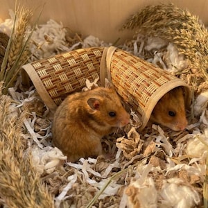 Pode incluir: Dois hamsters dourados numa gaiola com túneis tecidos. Os hamsters estão rodeados por cama de papel picado e ervas secas. Os túneis são feitos de material tecido castanho e bege.