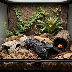 Cachette grotte personnalisée pour reptiles, rebord en pierre réaliste pour lézarder pour gecko léopard, cachette de serpent, ornement en pierre non toxique pour vivarium