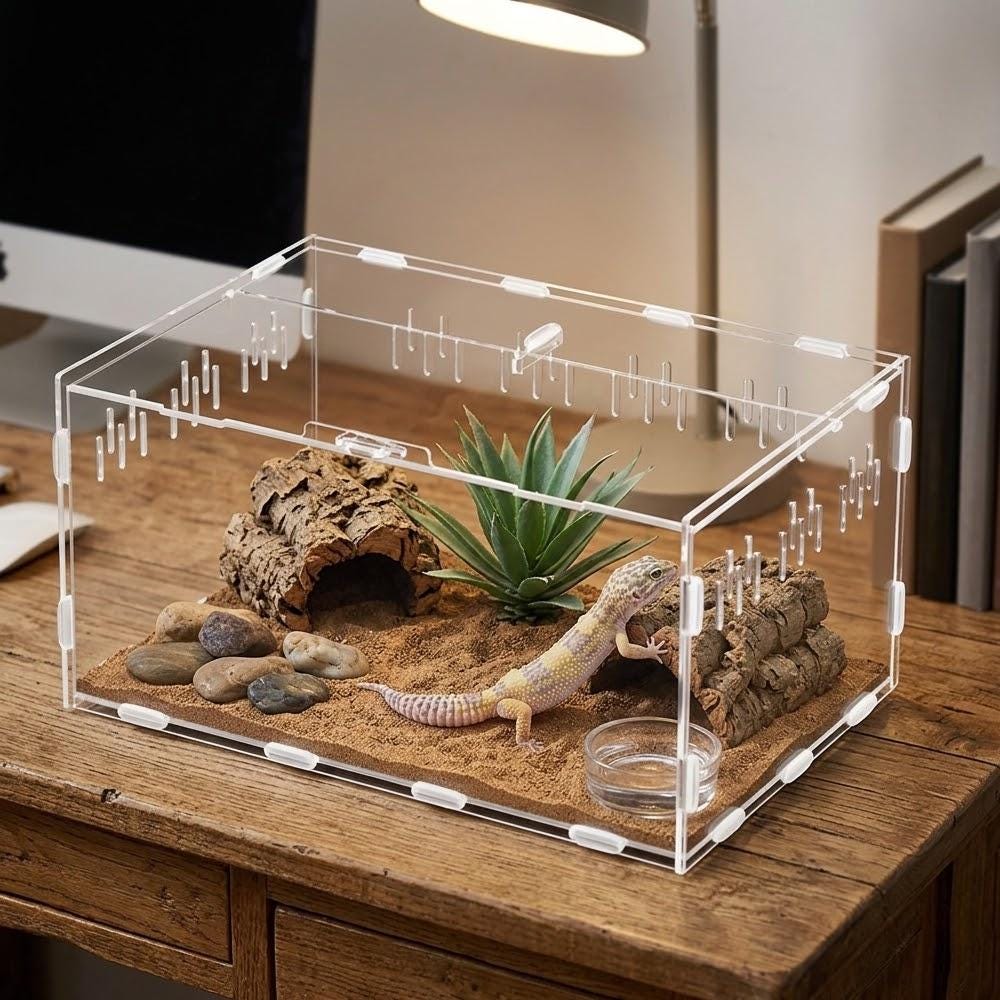 Jumping spider enclosures large - Etsy 日本