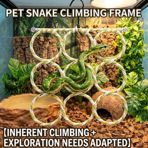 Snake Climbing Frame for Terrarium, Polyester Rope Reptile Jungle Gym Rings for Ball Python Corn Snake Vivarium Decor