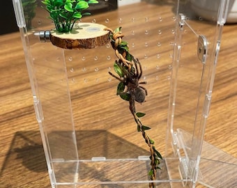 Magnetic Jumping Spider Climbing Platform, Wooden Ledge With Plant Vine, Arboreal Terrarium Decor for Spider Enclosure