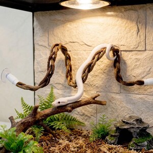 Spiral Snake Climbing Frame, Ball Python Enrichment Gym, Modern Exercise Branch for Corn Snakes, Vertical Reptile Habitat Decor Accessory