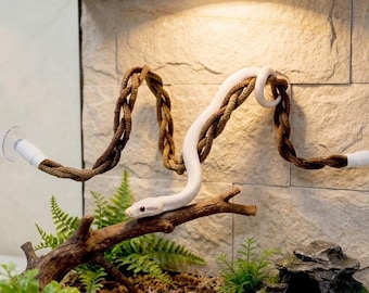 Struttura a spirale per arrampicata per serpenti, palestra di arricchimento per pitoni reali, ramo moderno per esercizi per serpenti del grano, accessorio decorativo verticale per habitat di rettili