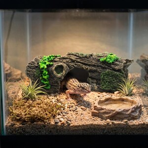 Resin Reptile Bark Hide Cave, Tree Log Terrarium Shelter for Gecko Lizard Snake, Natural Habitat Decor