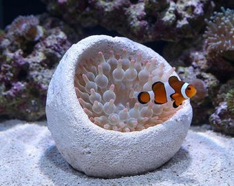 Ceramic Anemone Pot for Reef Tank, Aquarium Anemone Holder, Marine Fish Hide Cave, Ceramic Aquarium Decor, Reef Tank Shelter