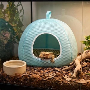 Puede incluir: Un refugio para reptiles en forma de cúpula de color azul claro hecho de tela de malla con una entrada circular blanca y un pequeño lazo superior. Un gecko crestado marrón está posicionado en la abertura del refugio sobre un sustrato de tierra.